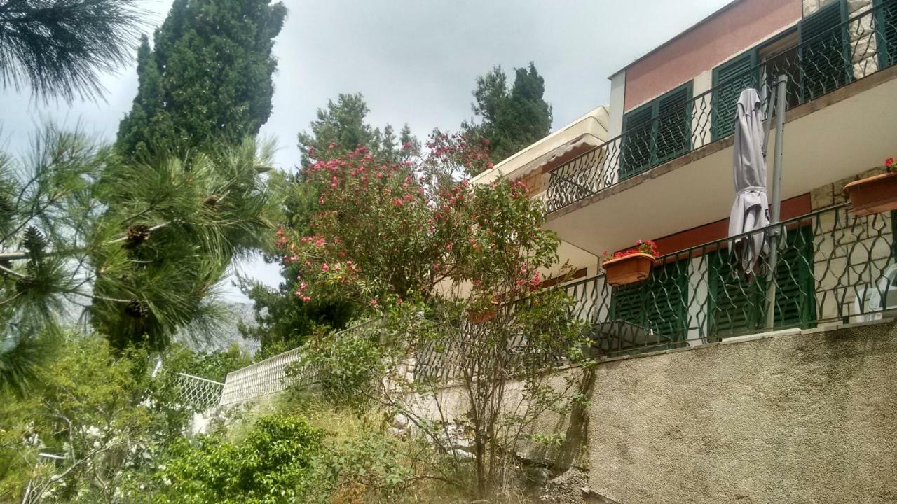 Apartment Marevista زاووستروج المظهر الخارجي الصورة